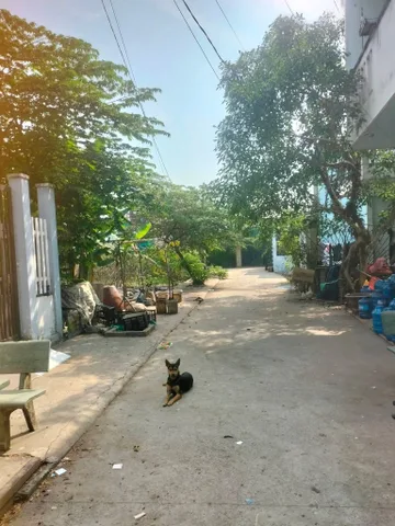 Bất động sản tại Tây Ninh - ảnh 1