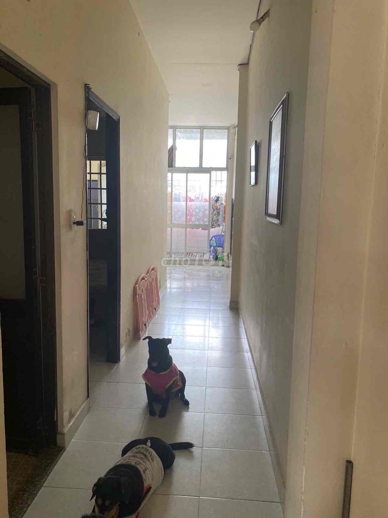 Nhà riêng tại Thủ Đức, TP. Hồ Chí Minh - ảnh 4