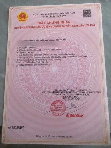Bất động sản tại Đắk Lắk - ảnh 1