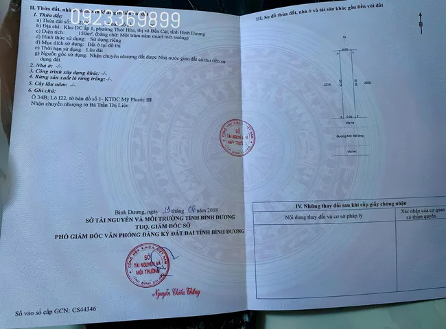 Bất động sản tại Bình Dương - ảnh 1