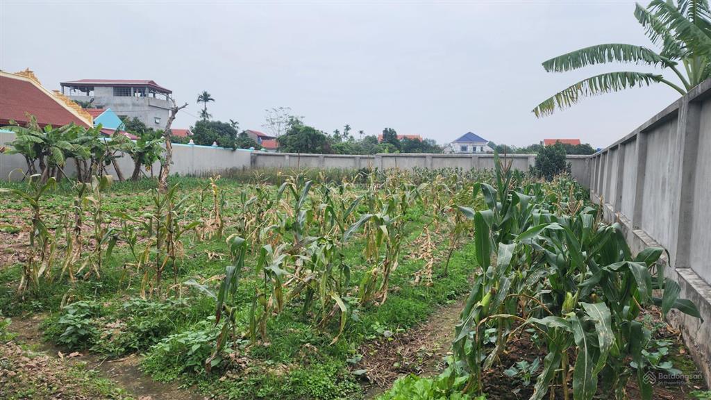 Bất động sản tại Bắc Ninh - ảnh 1