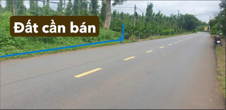 Bất động sản tại Bình Dương - ảnh 1