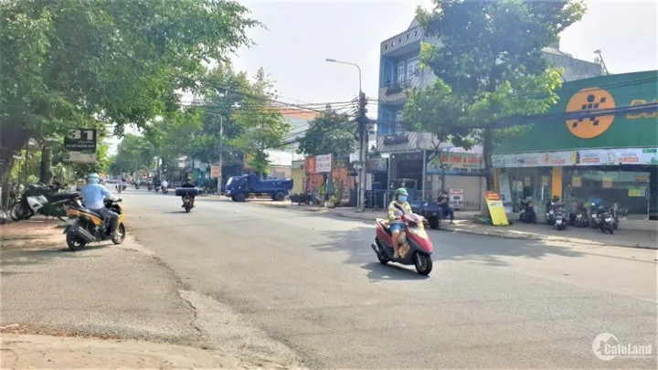 Bất động sản tại Đồng Nai - ảnh 1
