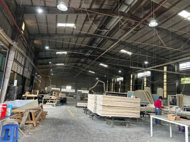 Bất động sản tại Bình Dương - ảnh 1
