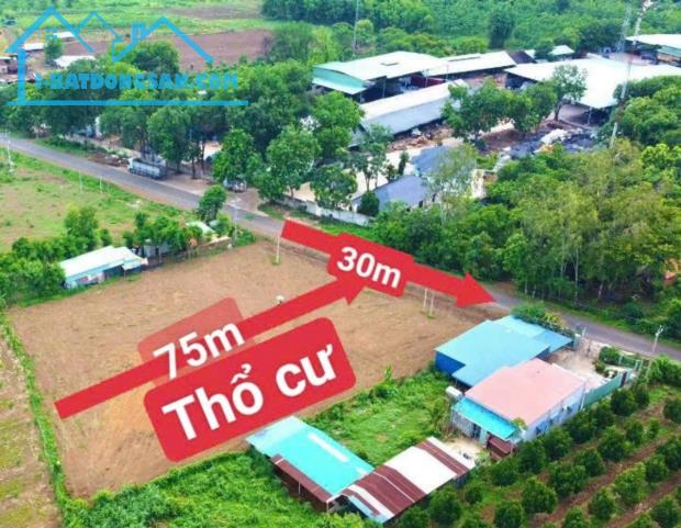 Bất động sản tại Bình Phước - ảnh 1