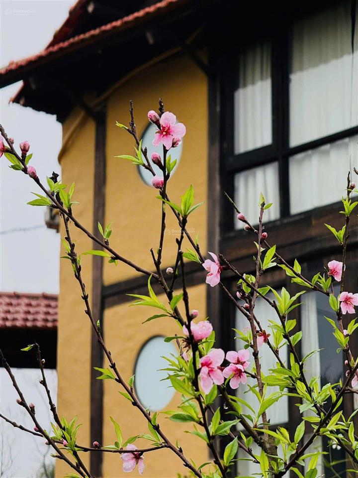 Bất động sản tại Hòa Bình - ảnh 1
