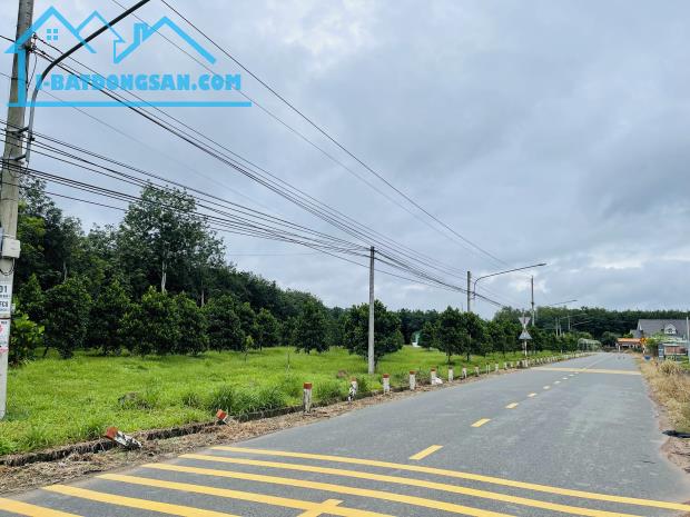 Bất động sản tại Bình Dương - ảnh 1