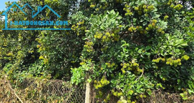 Bất động sản tại Bình Dương - ảnh 1