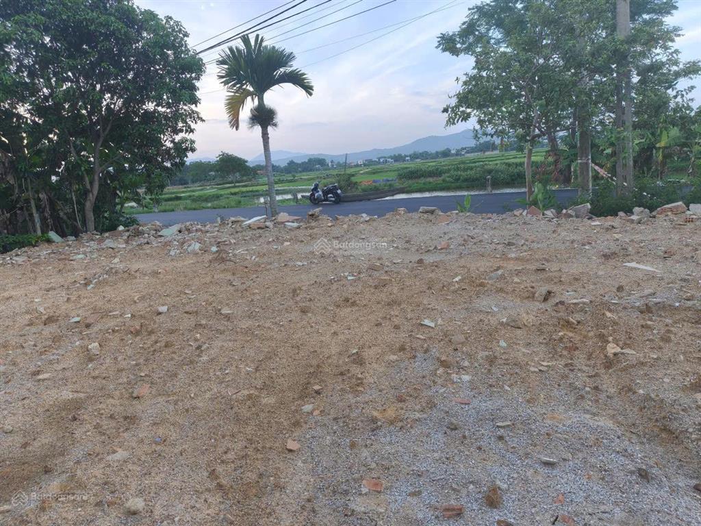 Bất động sản tại Đà Nẵng - ảnh 1