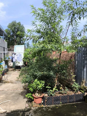 Bất động sản tại Long An - ảnh 1
