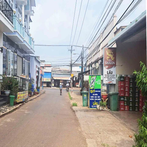 Bất động sản tại Đồng Nai - ảnh 1