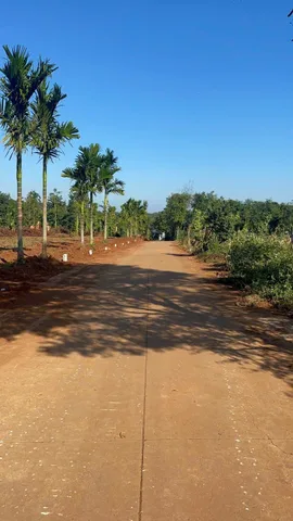 Bất động sản tại Đắk Lắk - ảnh 1