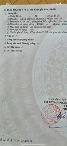 Bất động sản tại Đắk Lắk - ảnh 1