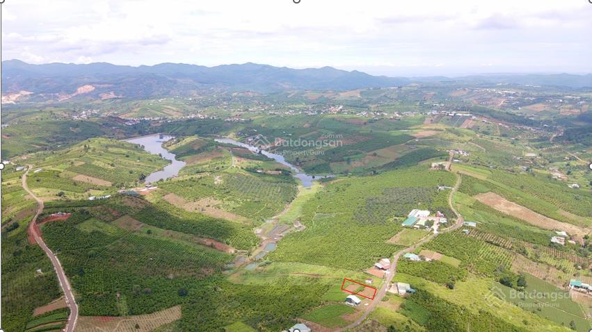 Bất động sản tại Lâm Đồng - ảnh 1