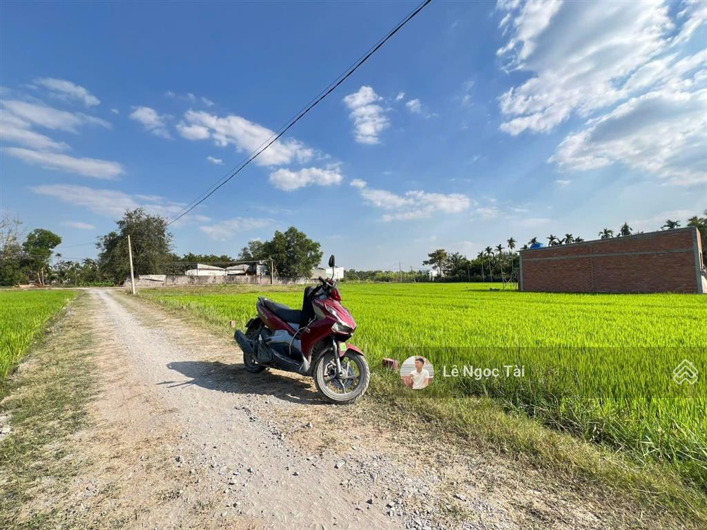 Bất động sản tại Long An - ảnh 1
