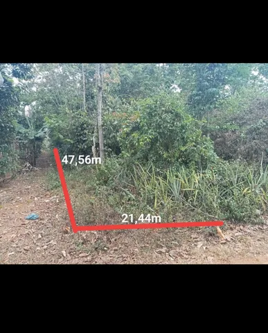 Bất động sản tại Đắk Lắk - ảnh 1