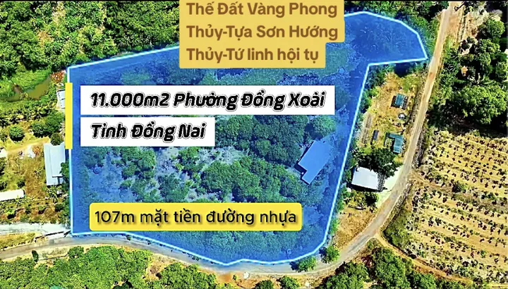 Bất động sản tại Đồng Nai - ảnh 1