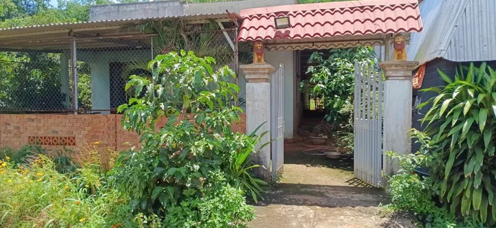 Bất động sản tại Đồng Nai - ảnh 1