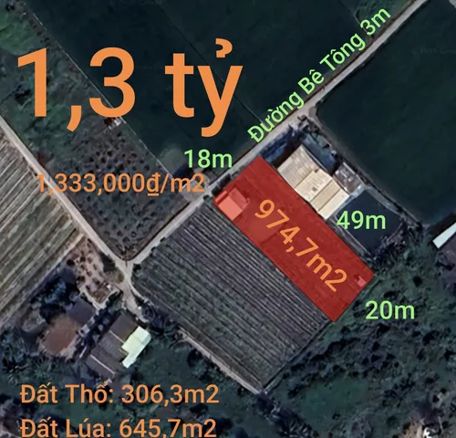 Bất động sản tại Long An - ảnh 1