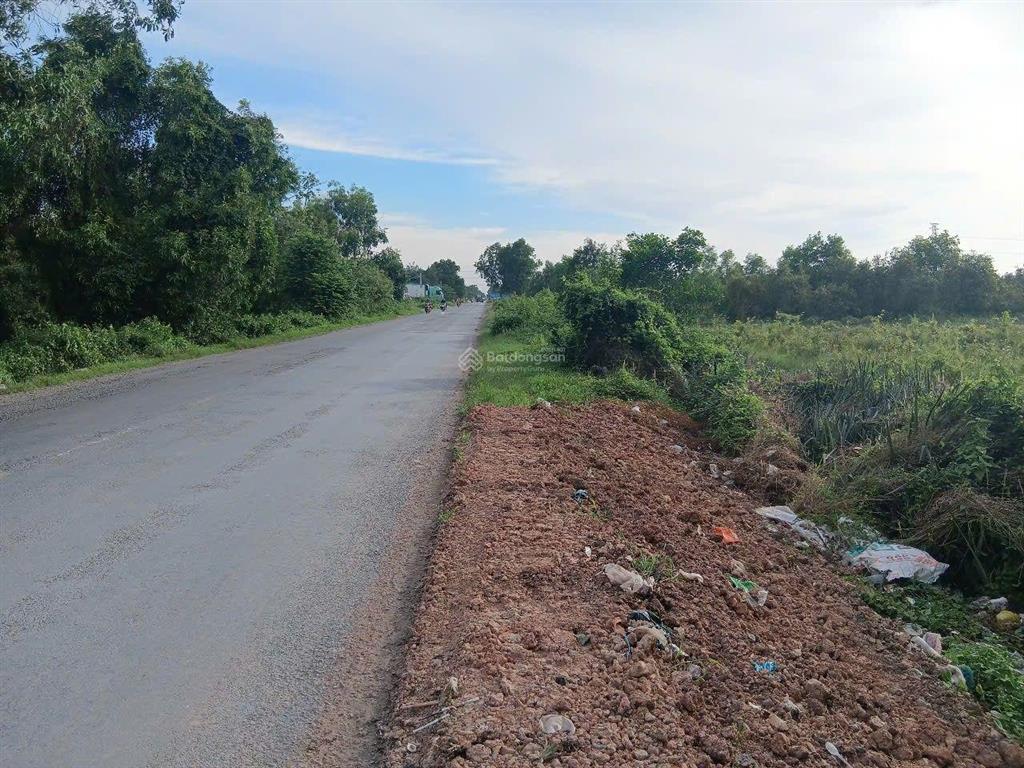 Bất động sản tại Long An - ảnh 1