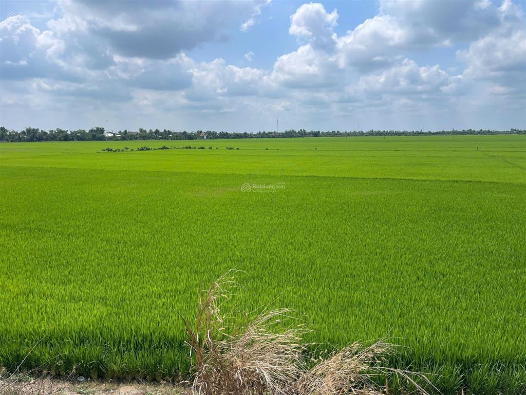 Bất động sản tại Long An - ảnh 1