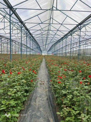 Bất động sản tại Lâm Đồng - ảnh 1
