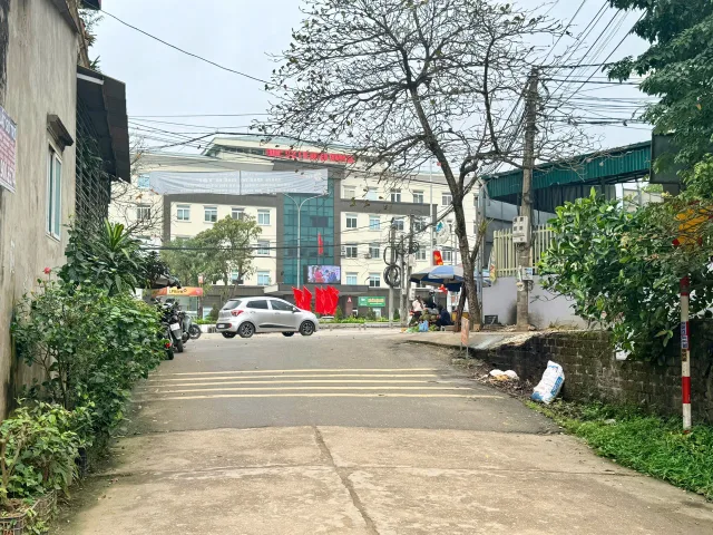Bất động sản tại Phú Thọ - ảnh 1