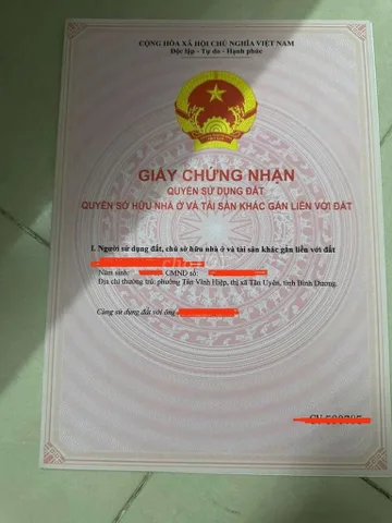 Bất động sản tại Bình Dương - ảnh 1
