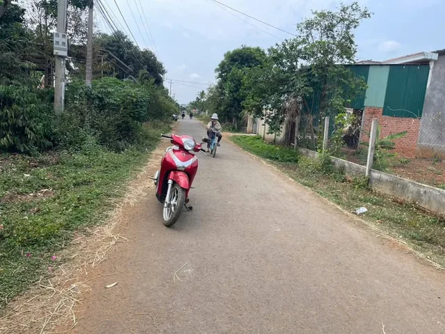 Bất động sản tại Đắk Lắk - ảnh 1