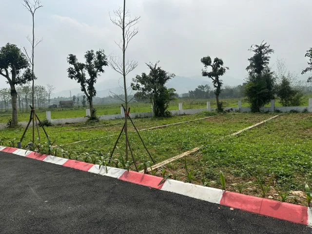 Bất động sản tại Phú Thọ - ảnh 1