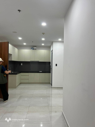 Bất động sản tại Bình Dương - ảnh 1