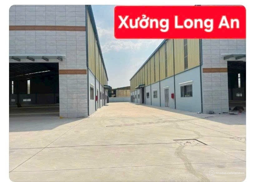 Bất động sản tại Tây Ninh - ảnh 1