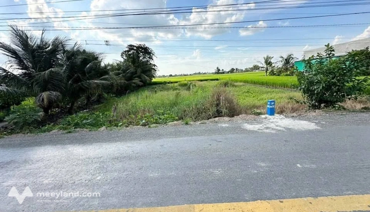 Bất động sản tại Long An - ảnh 1