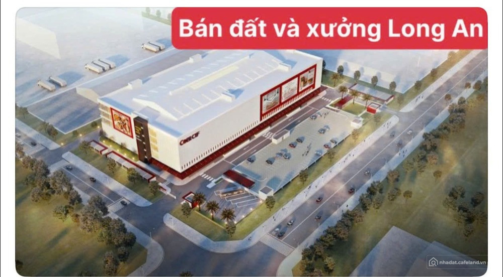 Bất động sản tại Tây Ninh - ảnh 1