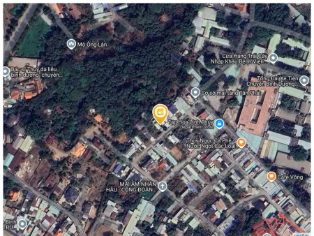 Bất động sản tại Bình Dương - ảnh 1