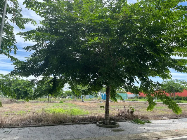 Bất động sản tại Tây Ninh - ảnh 1