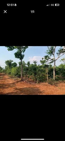 Bất động sản tại Đắk Lắk - ảnh 1