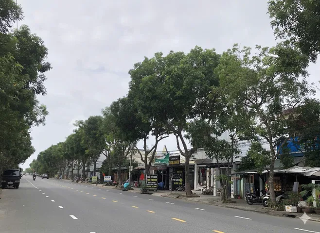 Bất động sản tại Đà Nẵng - ảnh 1