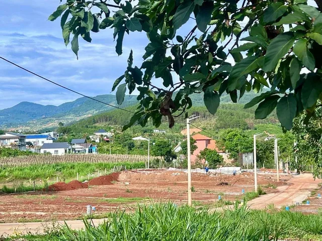 Bất động sản tại Lâm Đồng - ảnh 1