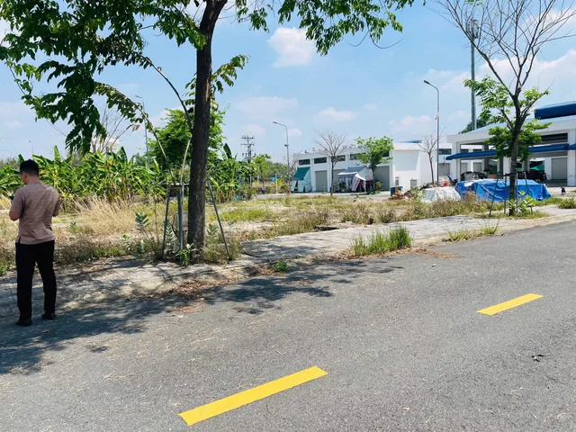 Bất động sản tại Bình Dương - ảnh 1