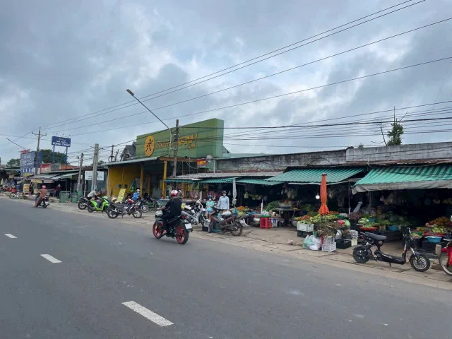 Bất động sản tại Bình Dương - ảnh 1