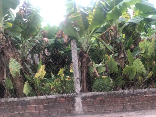Bất động sản tại Quảng Ngãi - ảnh 1