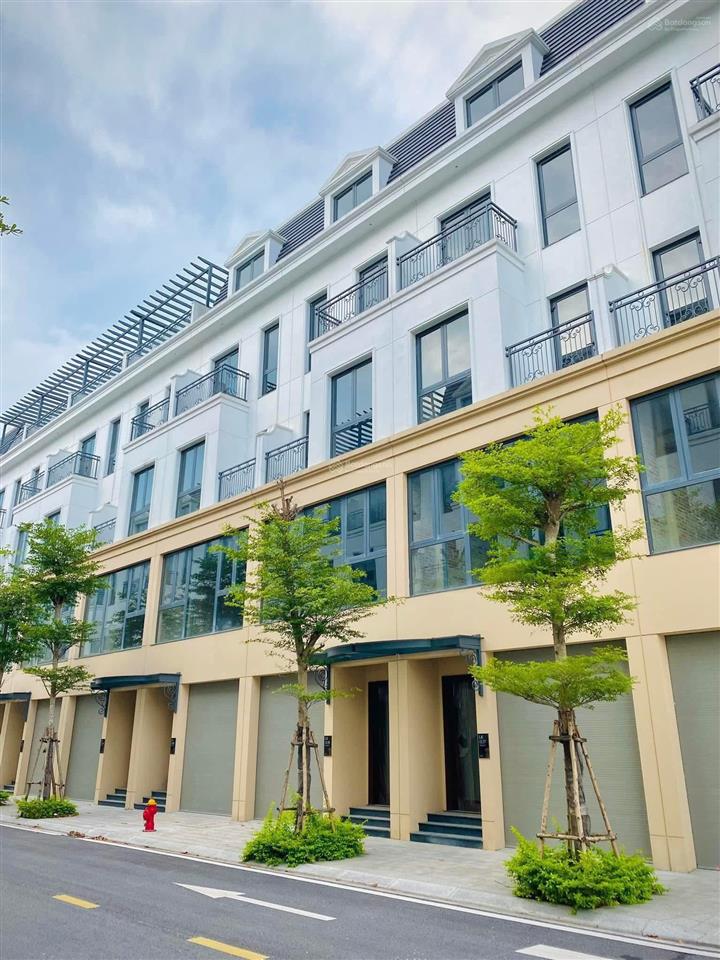 Bất động sản tại Bạc Liêu - ảnh 1