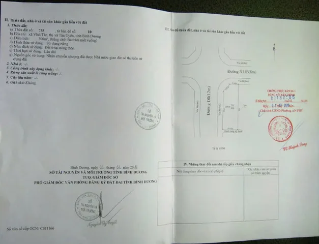 Bất động sản tại Bình Dương - ảnh 1