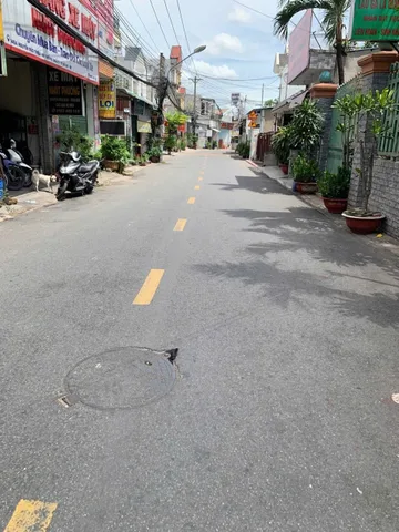 Bất động sản tại Bình Dương - ảnh 1