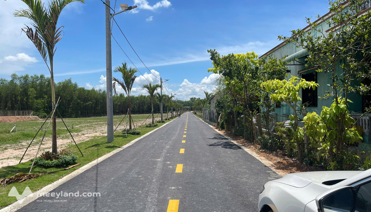 Bất động sản tại Bình Dương - ảnh 1