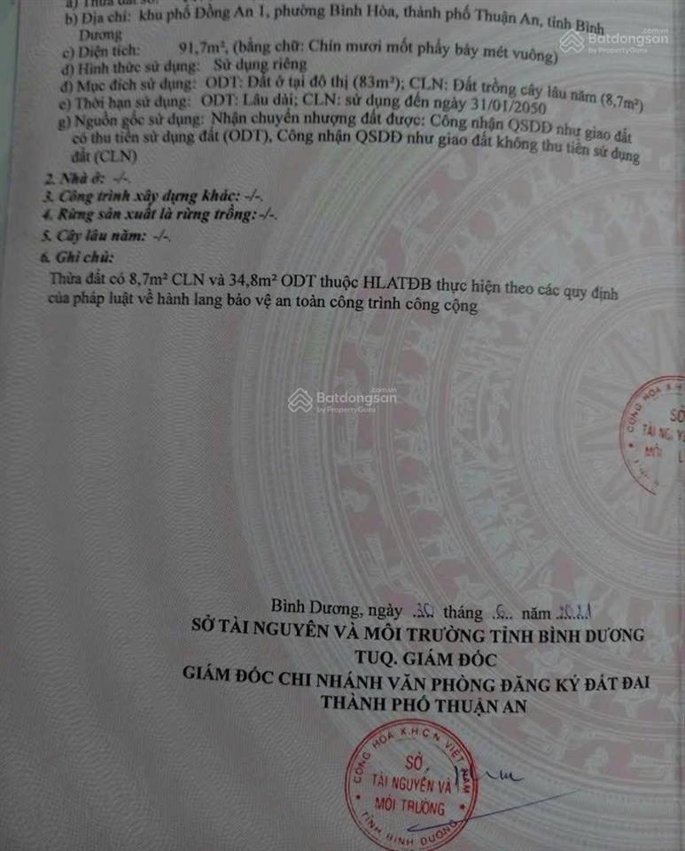 Bất động sản tại Bình Dương - ảnh 1
