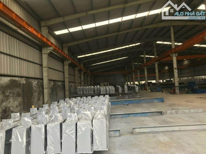 Bất động sản tại Long An - ảnh 1