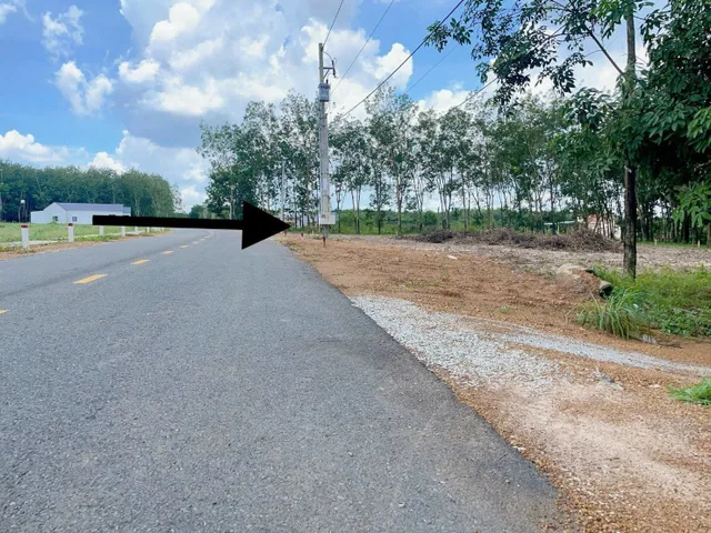 Bất động sản tại Đồng Nai - ảnh 1