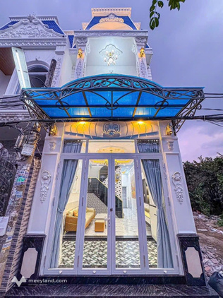 Bất động sản tại Long An - ảnh 1